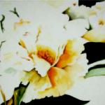 Golden Peonies                   matted size 24 x 36
