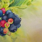 Blueberries
11x15