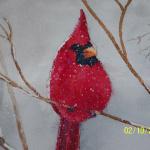 Mr. Redbird in Winter Cold
6x7